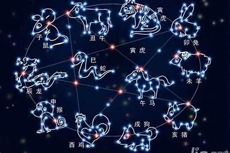 十一月十日是什么星座他是什么星座