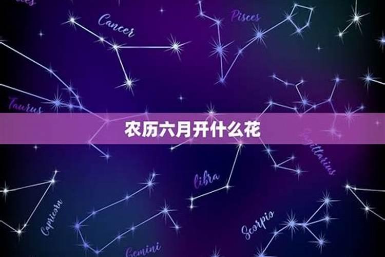 一九九六年农历八月十二是什么星座