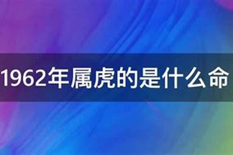 属相婚配虎能配小蛇吗男