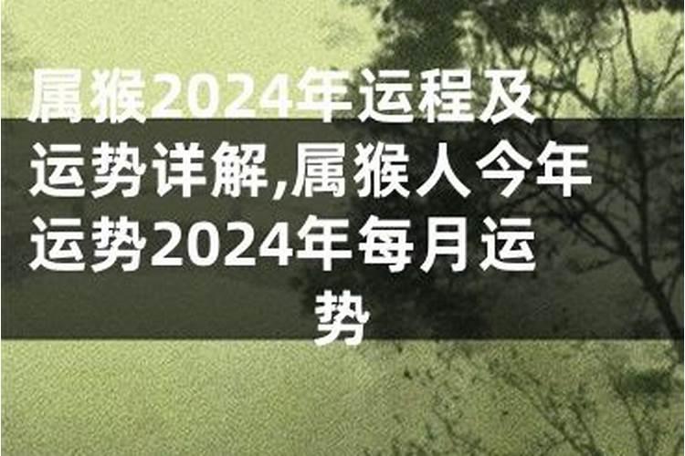 2023猪人运势运程如何