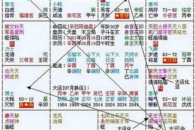 2023属什么年份