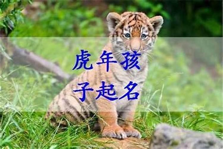 生肖猪申时是什么命