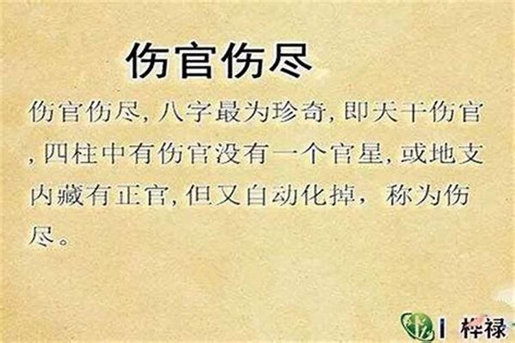 梦见死去的外公复活了还给了我一袋钱