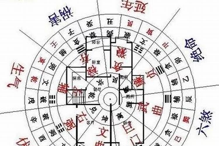 本命年女的今年的财运怎么样呢好吗