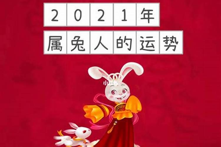 七五年的兔今年运势如何