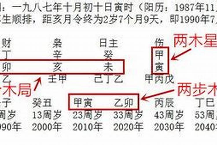 十一月属猴的运程怎么样呢