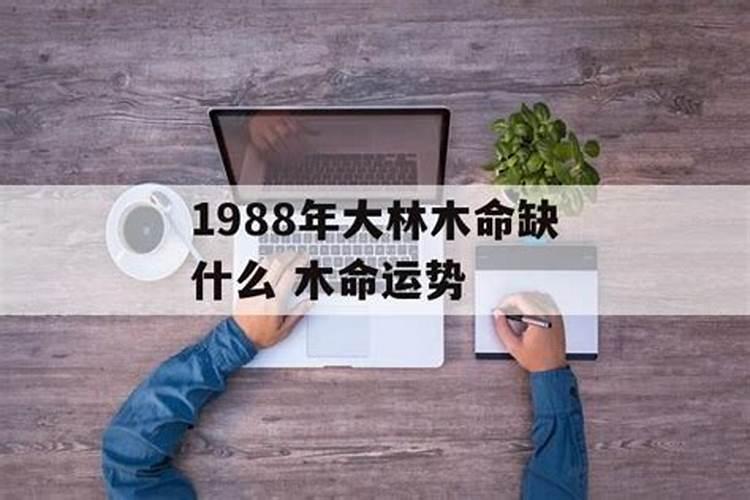 梦见黑蜘蛛代表什么