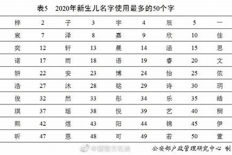 1983年属猪今年的运势如何