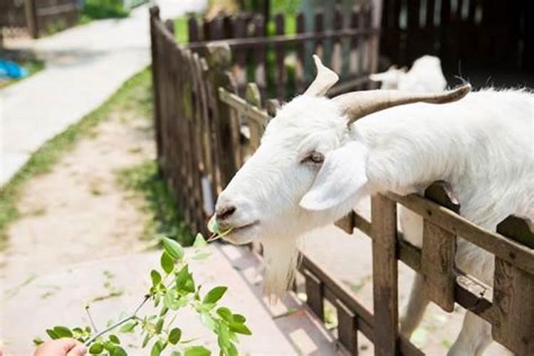 请师傅做法事费用很高吗