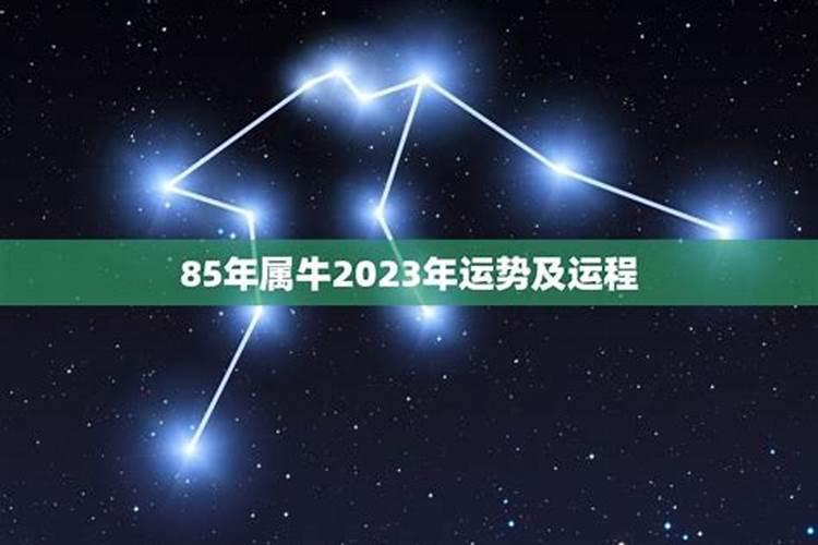 属牛的2024年犯什么太岁