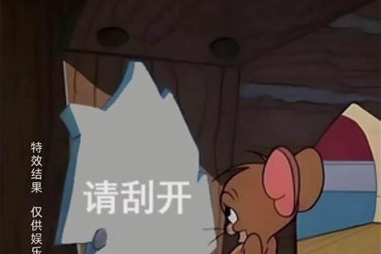 如何看懂自己的八字十神关系