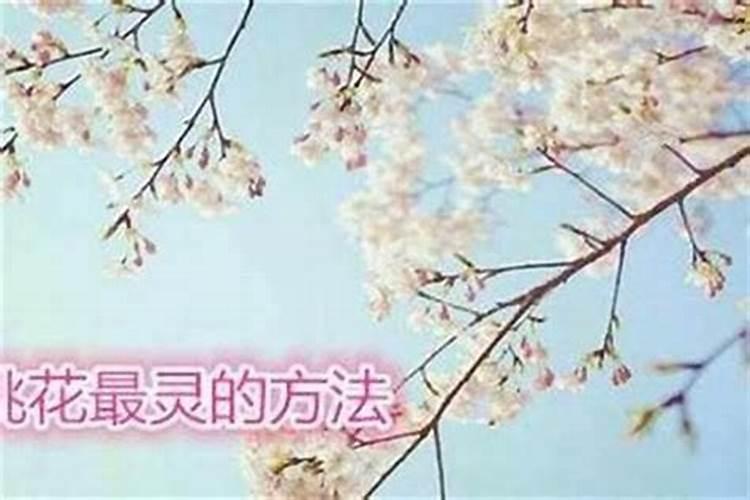 大年初几迎财神知识大全