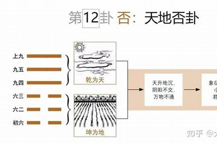 土象星座哪个是老大的星座