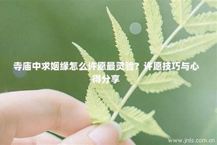 梦见沙漠是什么意思周公解梦