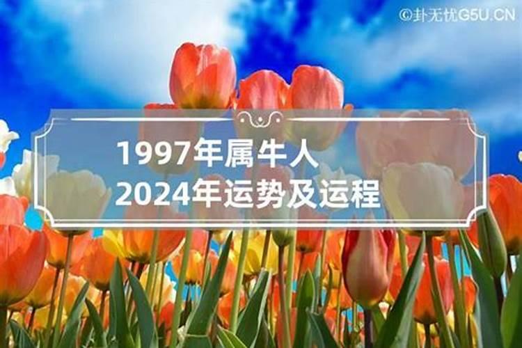 1990年牛2023年运势及运程