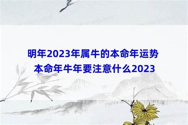 本命年运气都会很差吗男生