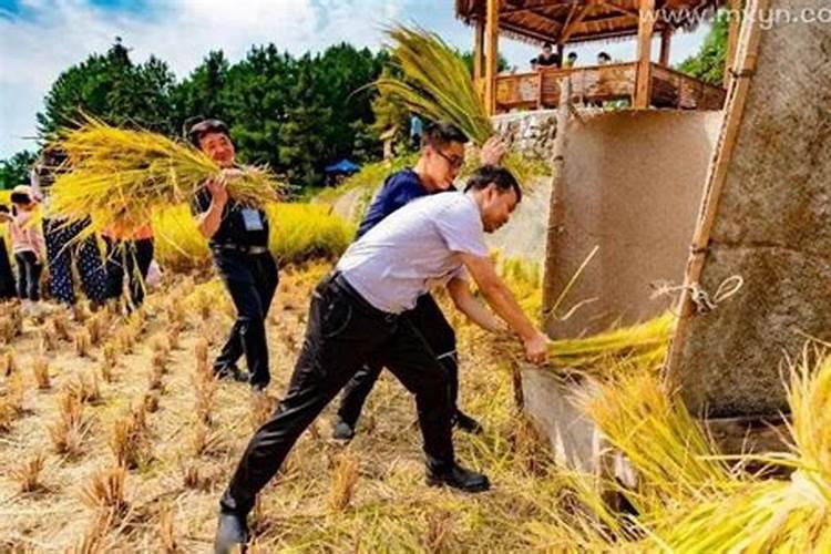 梦到邻居死了又活了好吗