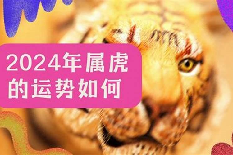 属猴之人2023年运势