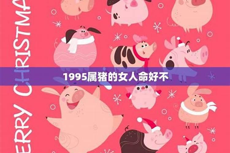 1995年女人的运势如何