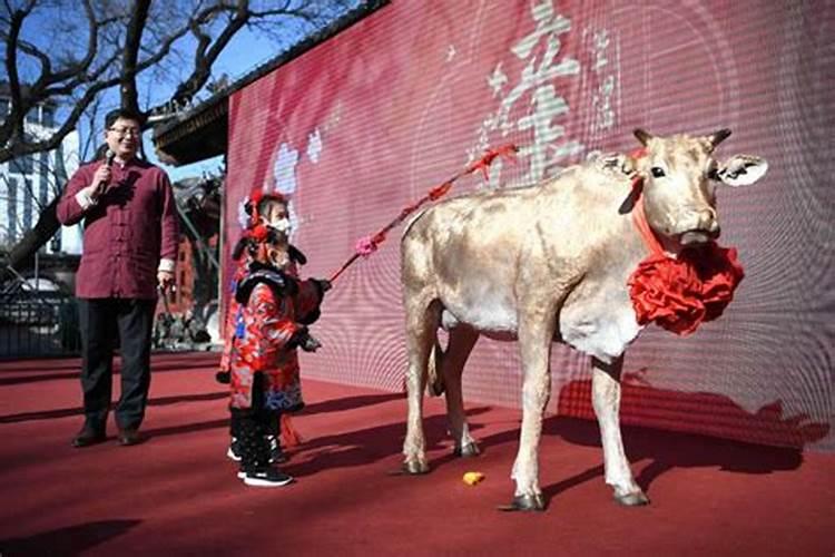 2018属猴的今年多大