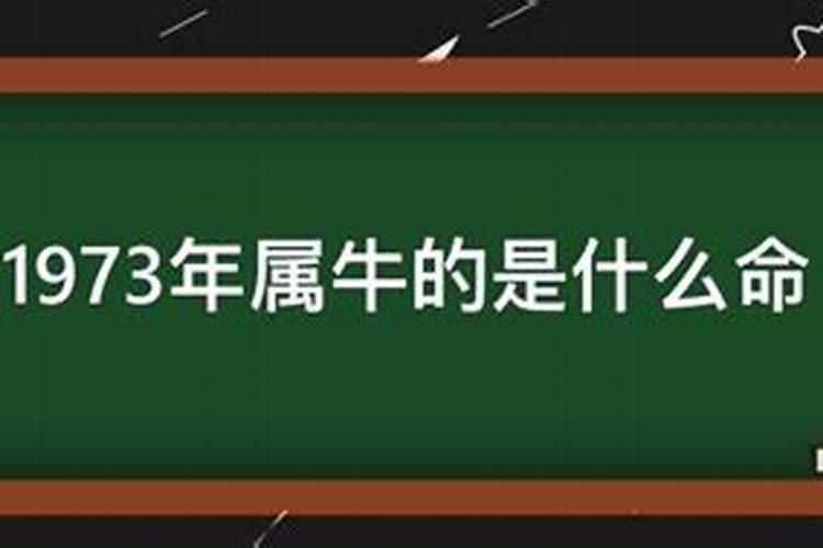 梦见两条大蟒蛇争斗