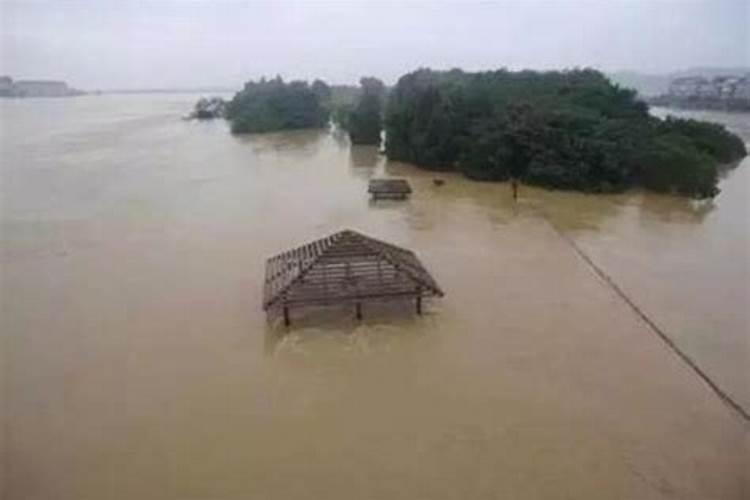 梦见下雨房子漏水