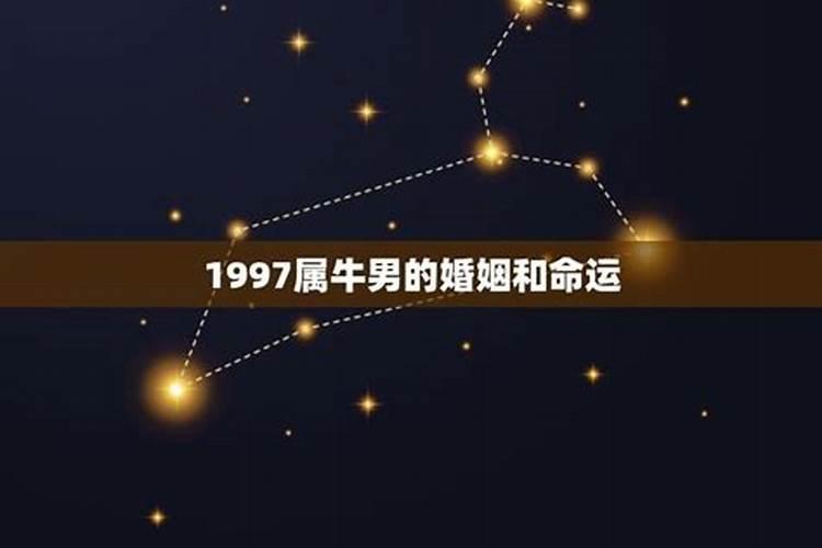 1997属牛一生的运势怎么样