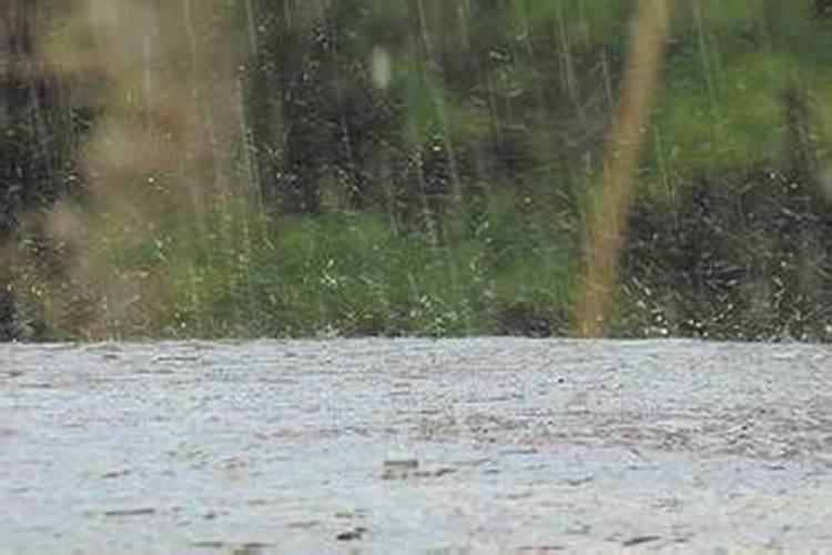 怀孕梦到下雨了怎么回事