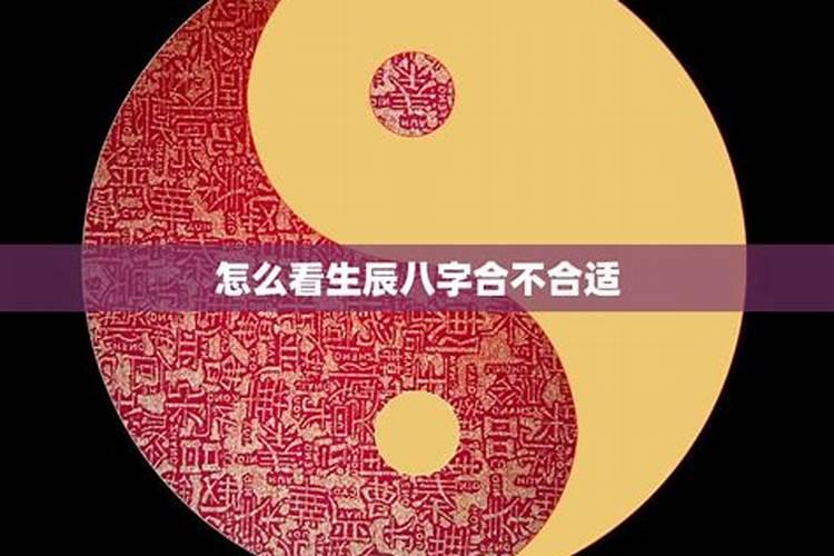 八字合不合适怎么分析