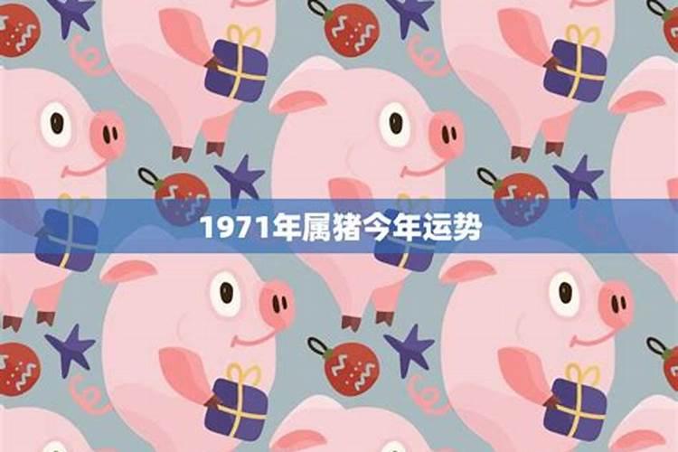 1971年的猪运势怎么样