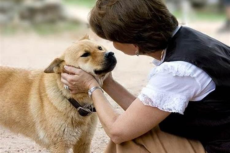 颧骨高婚姻