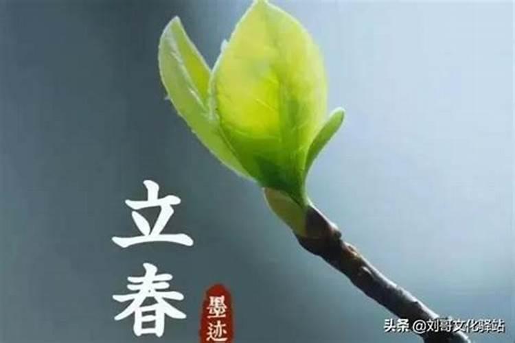 24节气立春的含义