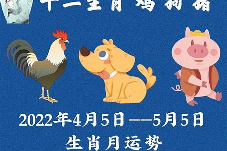 今天农历属什么生肖2022年4月1日运势