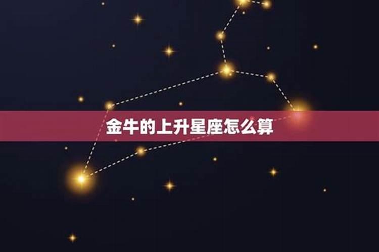 金牛座下一个是什么星座