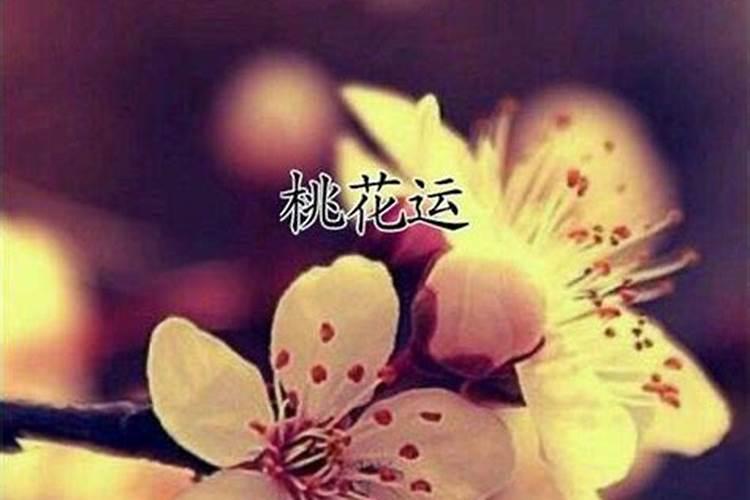 老公犯桃花运怎么破