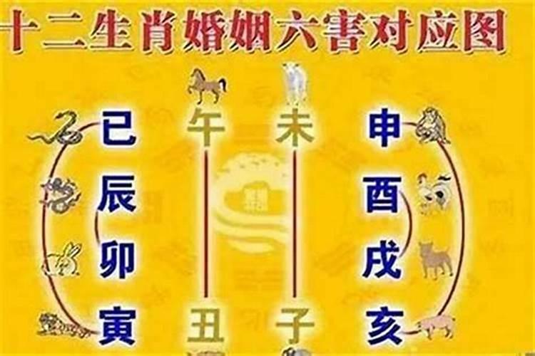 什么是属相婚配六合