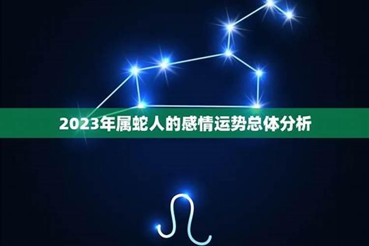 蛇年运势2023感情运势如何