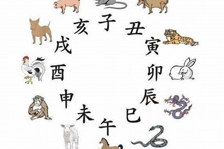 猪年本命年犯太岁如何化解吉凶