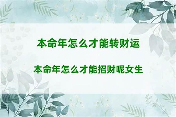 怀孕做梦梦见猫是什么征兆周公解梦