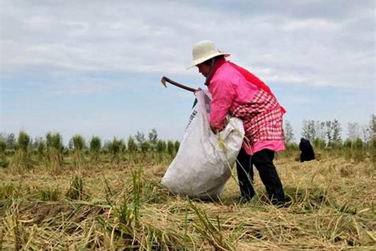 怎么样能压住别人运气