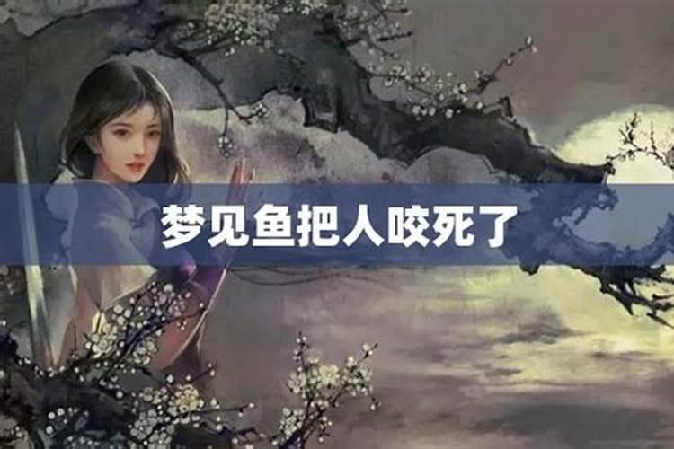 属马与什么属相婚配最好呢