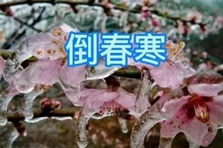 腊月生气预示着什么