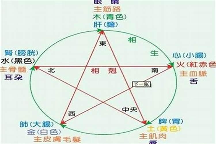 八字五行属相不合