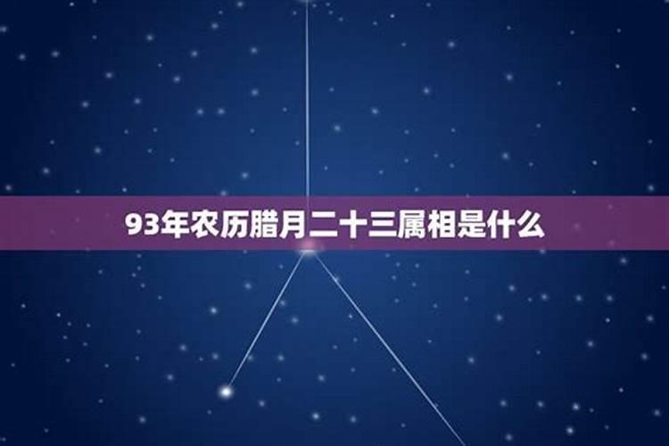 农历1993年腊月是什么