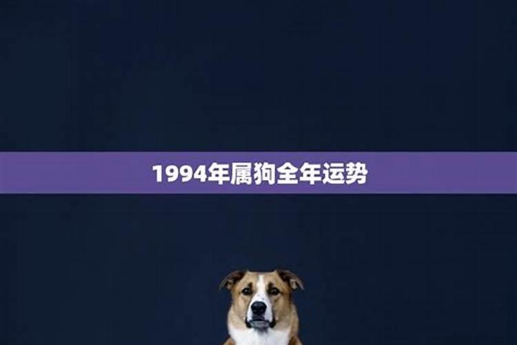 1994年属狗今年运势