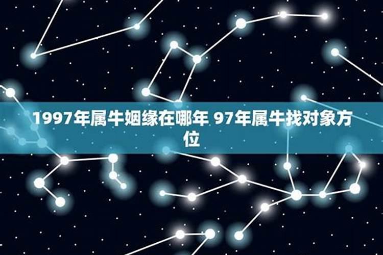 97年属牛找对象方位正西好吗