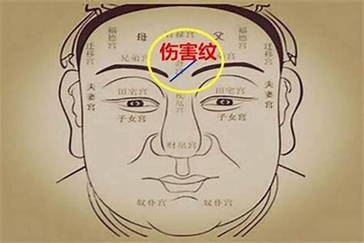 看香看运势怎么不给看了