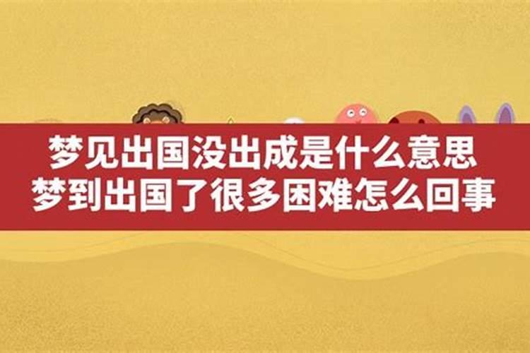 梦到出国又回来了