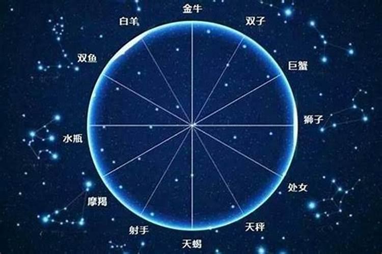 11月20日的星座是啥