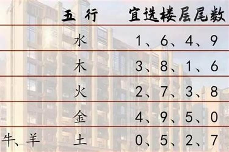 4楼是属于五行的什么